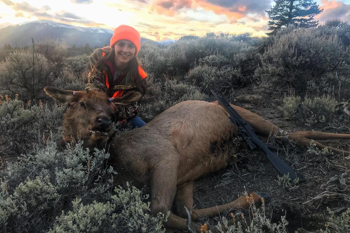 Wyoming Elk Hunting Type 8 License Proposal: Understanding the New Regulations