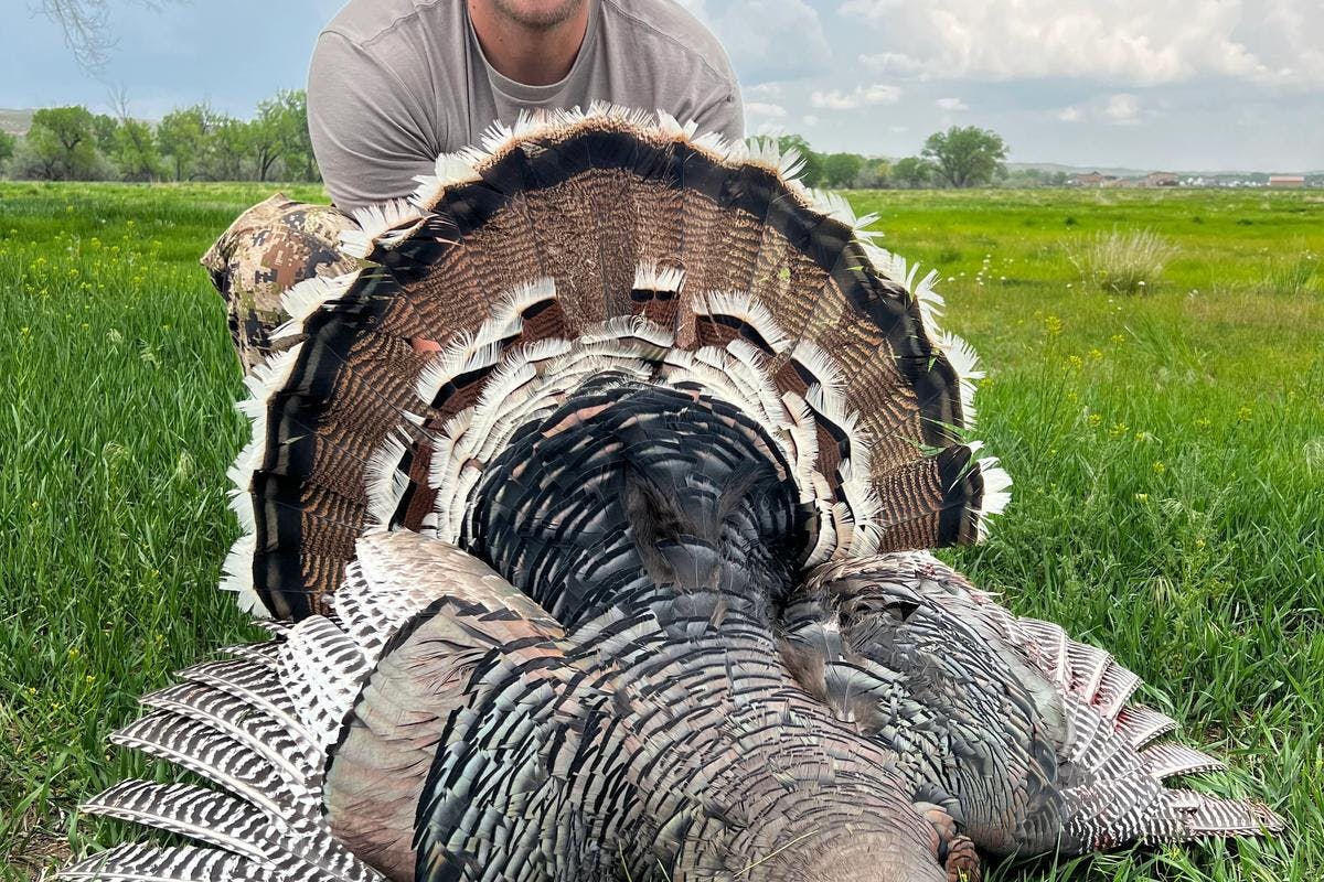 Turkey Hunting 101: Gear and Strategies for Success