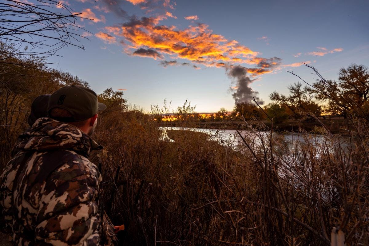 Waterfowl Habitat Management: Building the Perfect Hunting Grounds Across North America’s Flyways