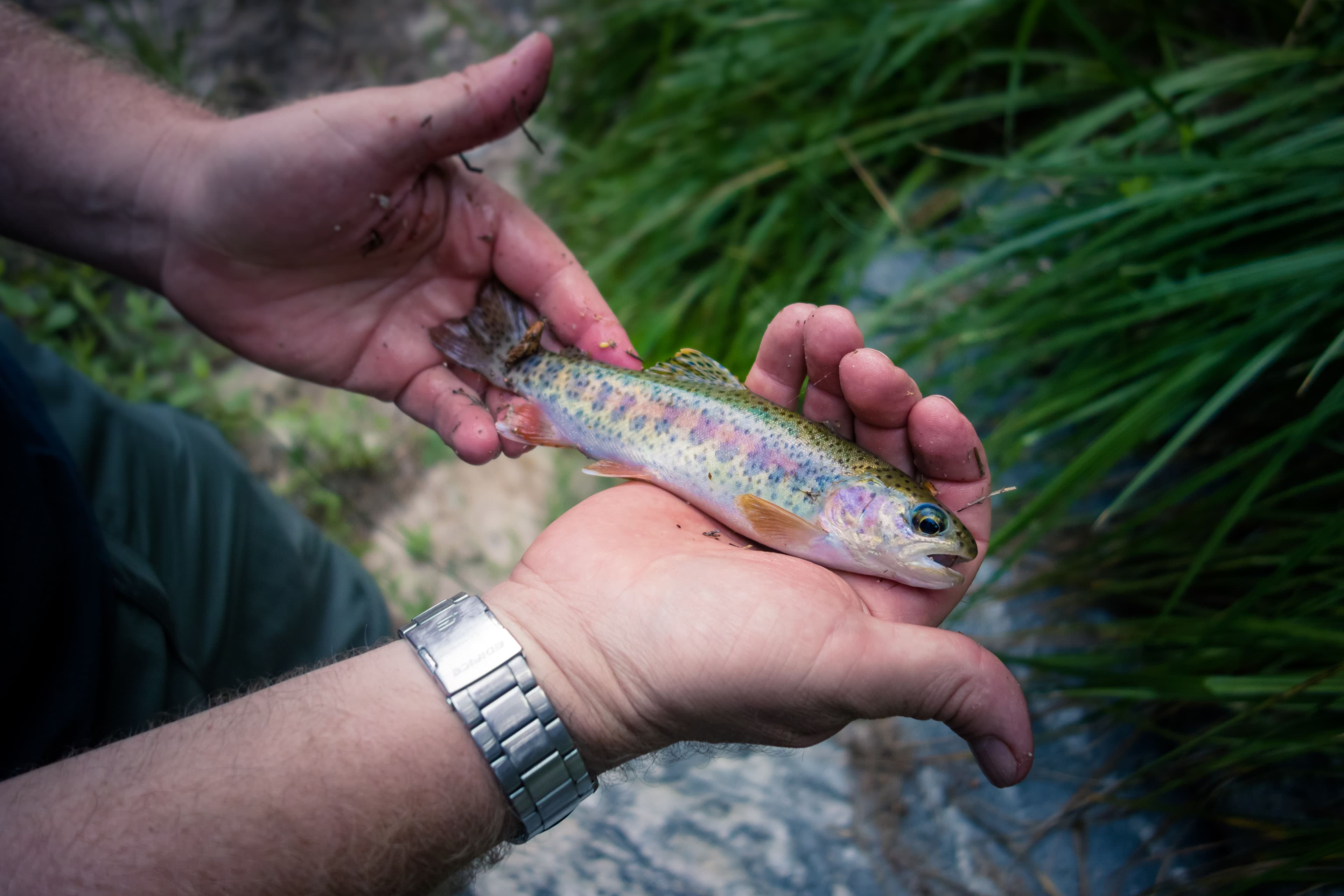 https://infiniteoutdoorsusa.com