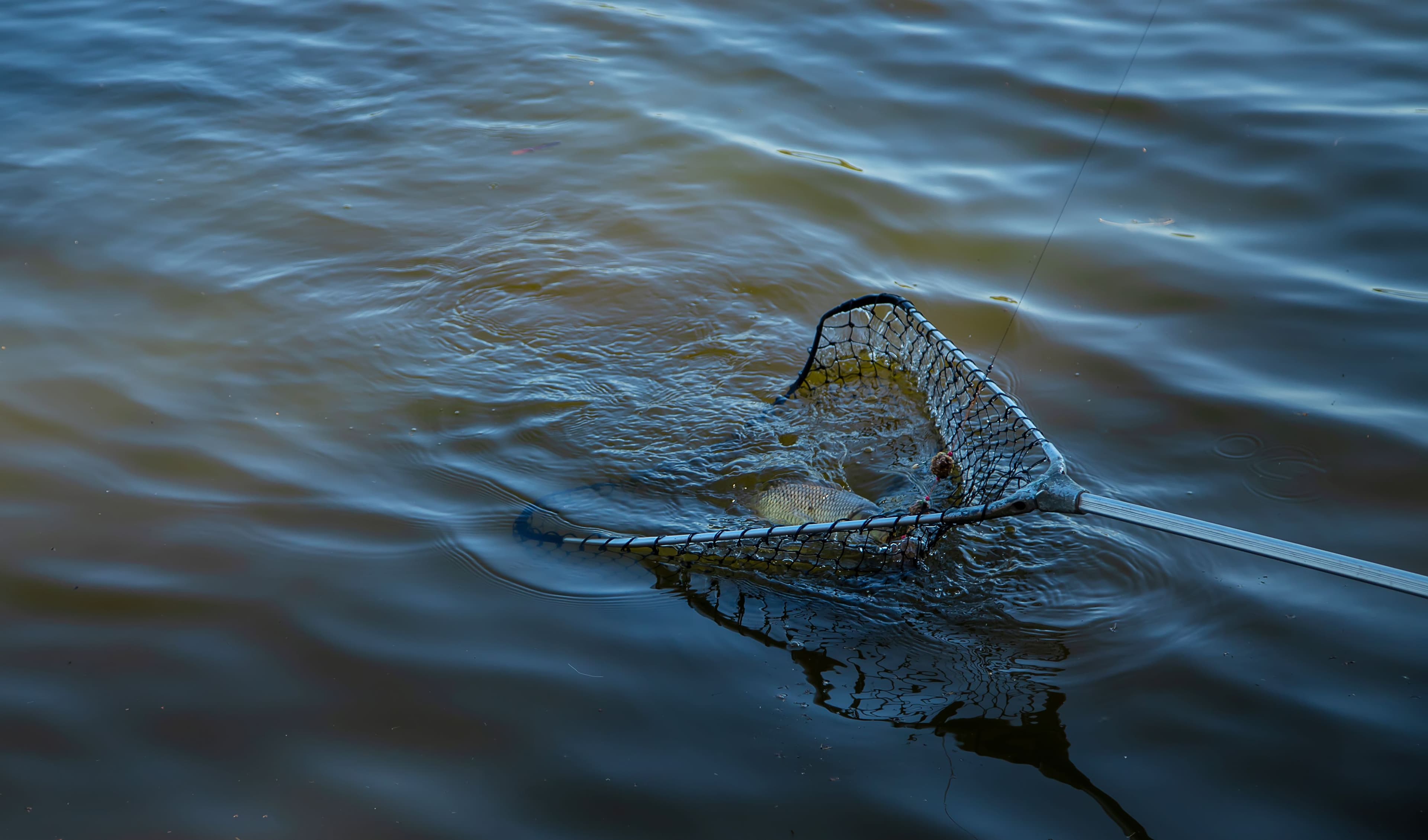 How to Fish Low Water Situations: Tips & Best Practices