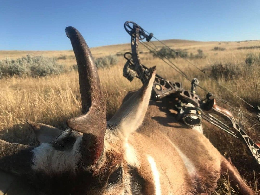 The first antelope I took with my bow in Wyoming.