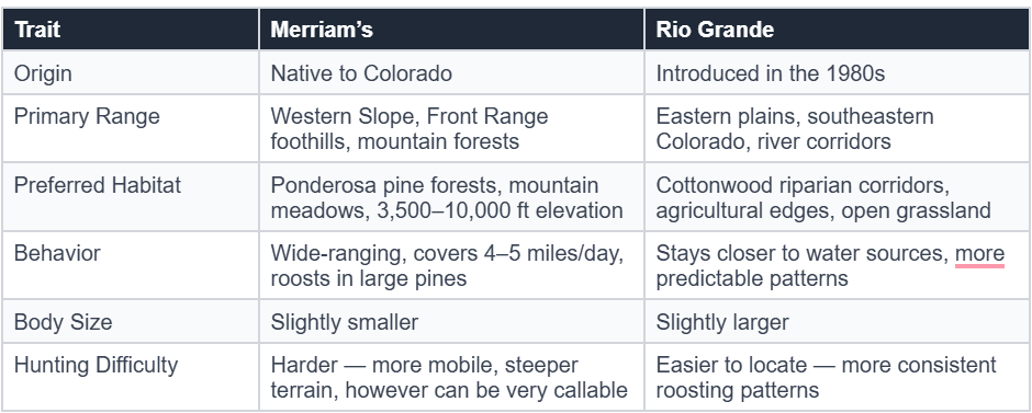 Merriam’s vs Rio Grande