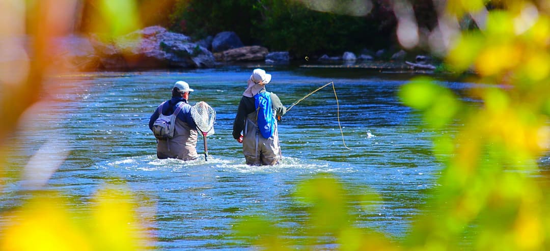 Nymph Fishing for Trout: Rigs, Techniques & the Flies That Actually Work
