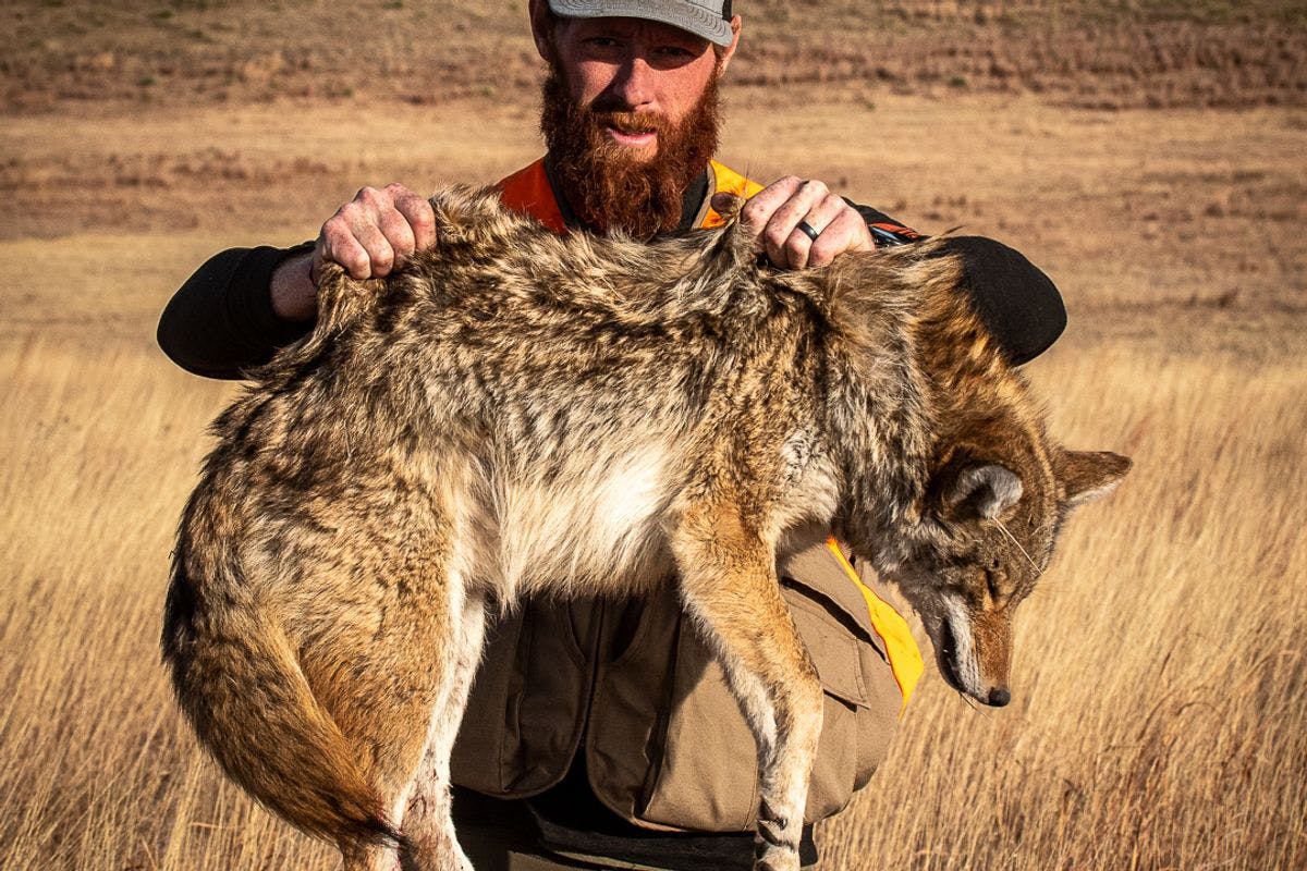 Spring Predator Control Helps Support Conservation