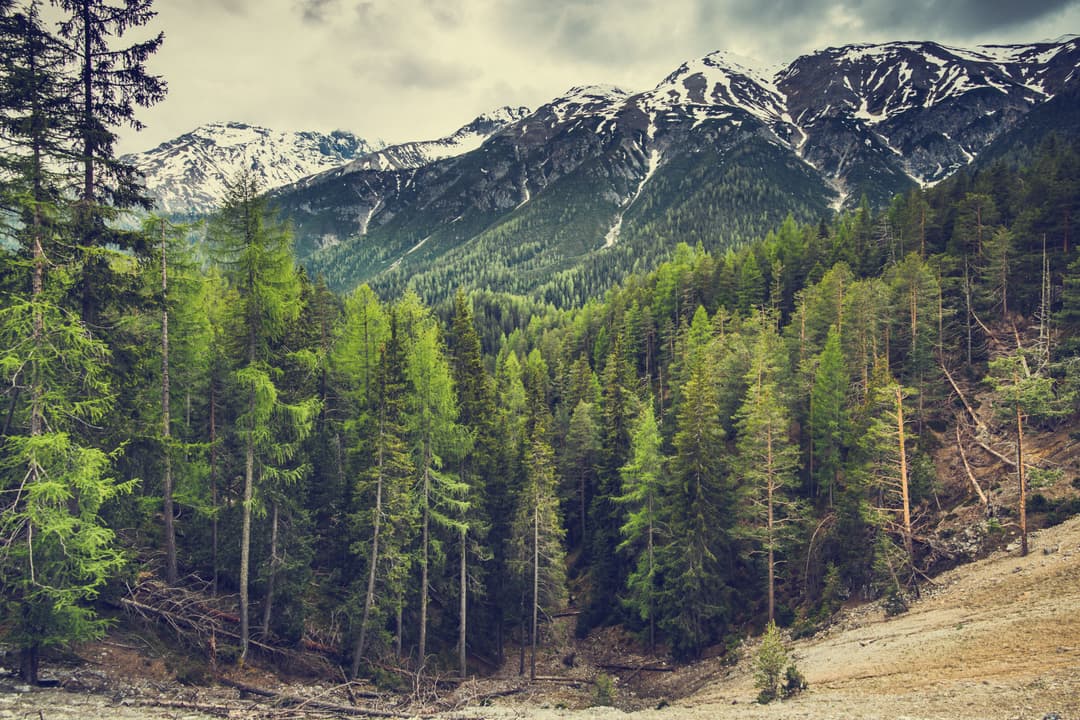 Nominate Public Land For Better Access