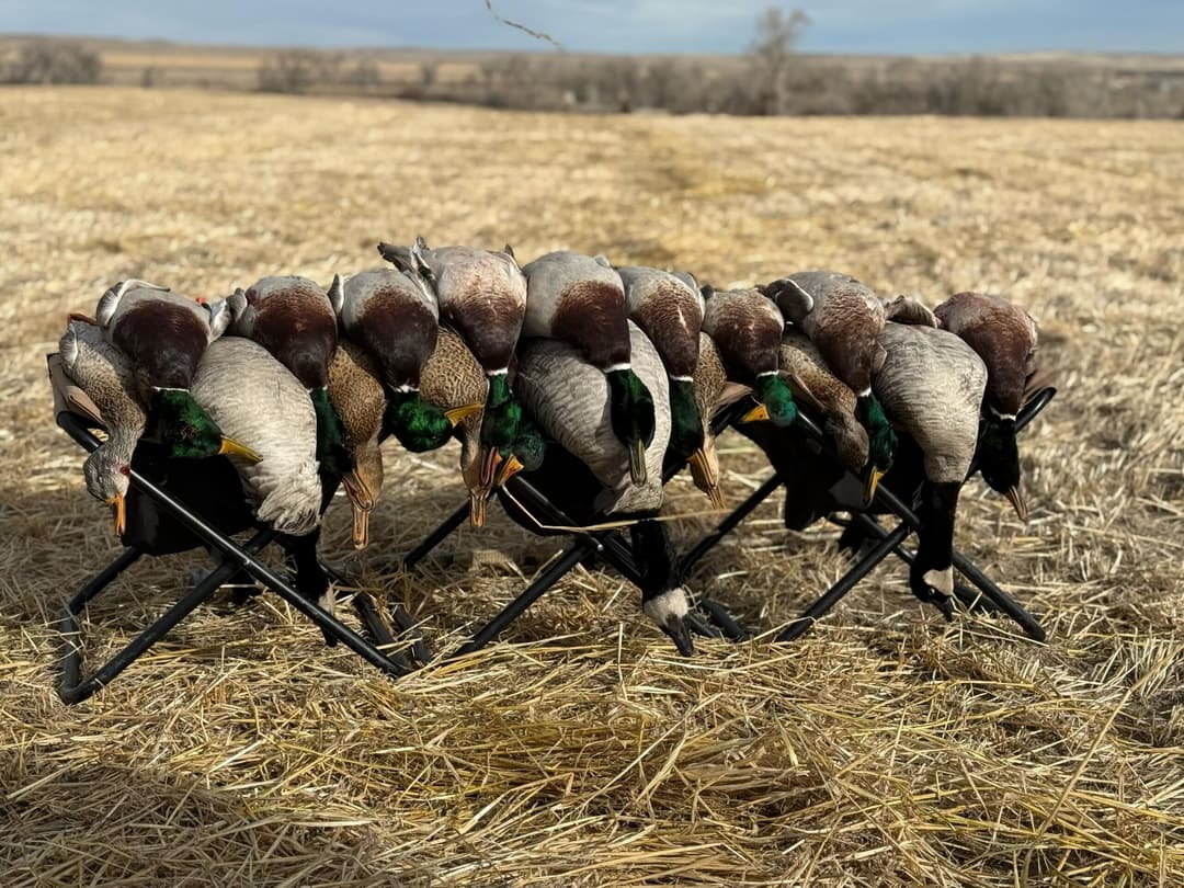 How to Find Private Land to Duck Hunt & How to Choose Your Spot