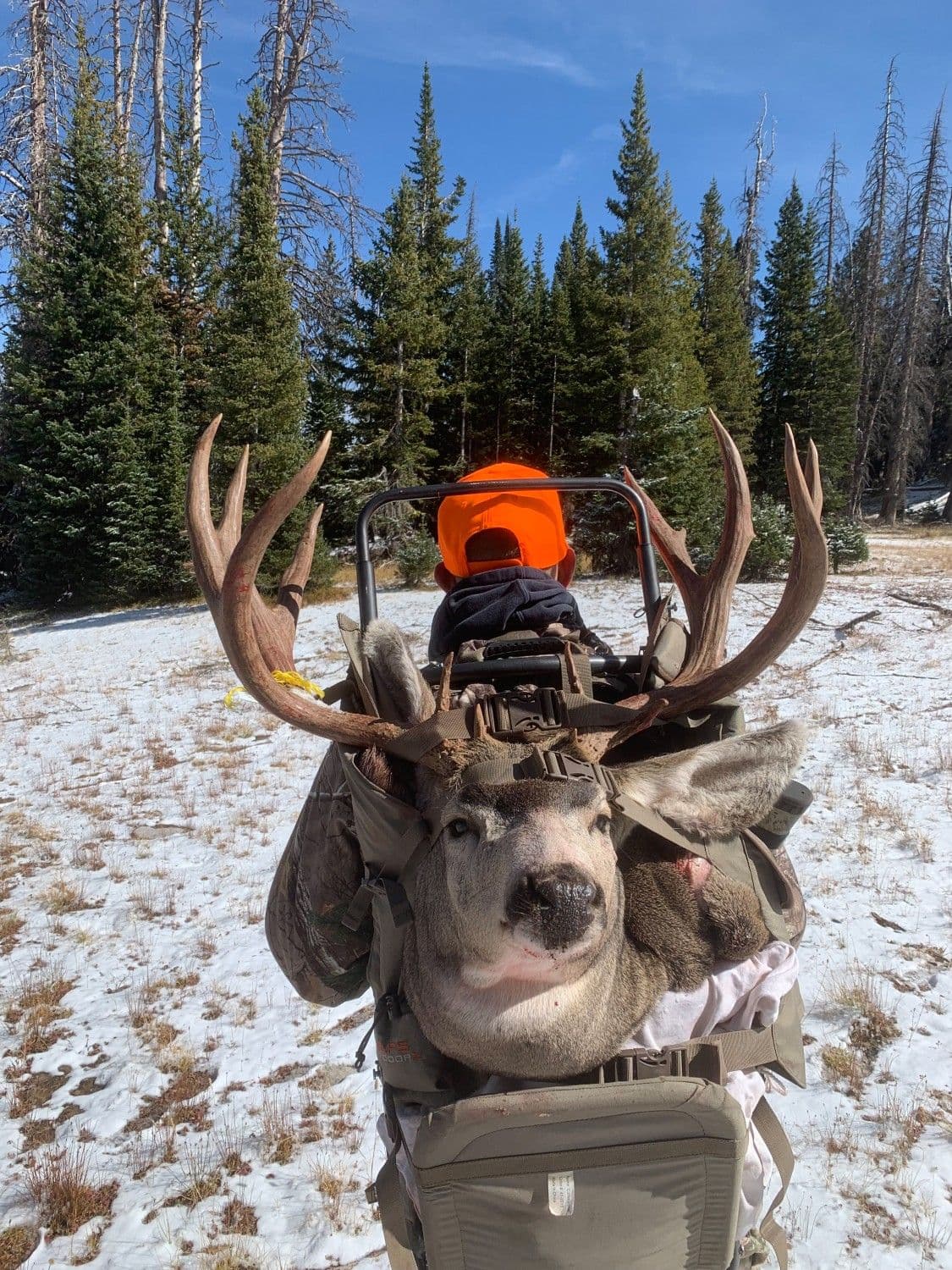 Hunter packs out kill