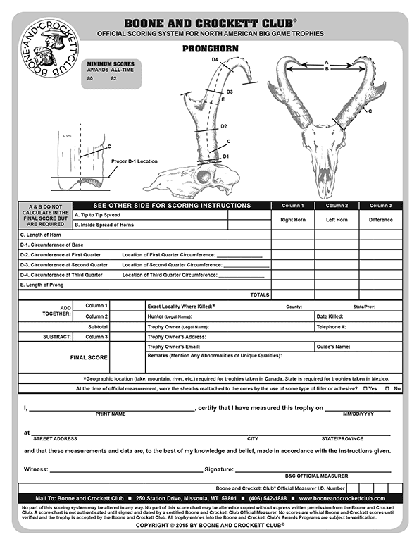 Boone and Crockett Scoring Templet