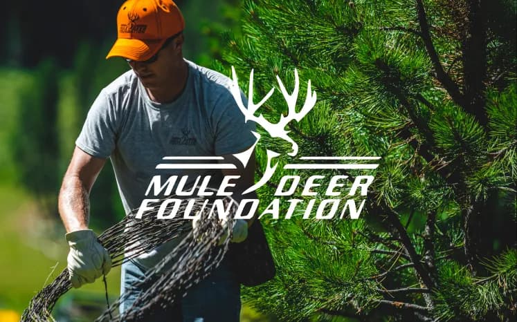 Mule Deer Foundation