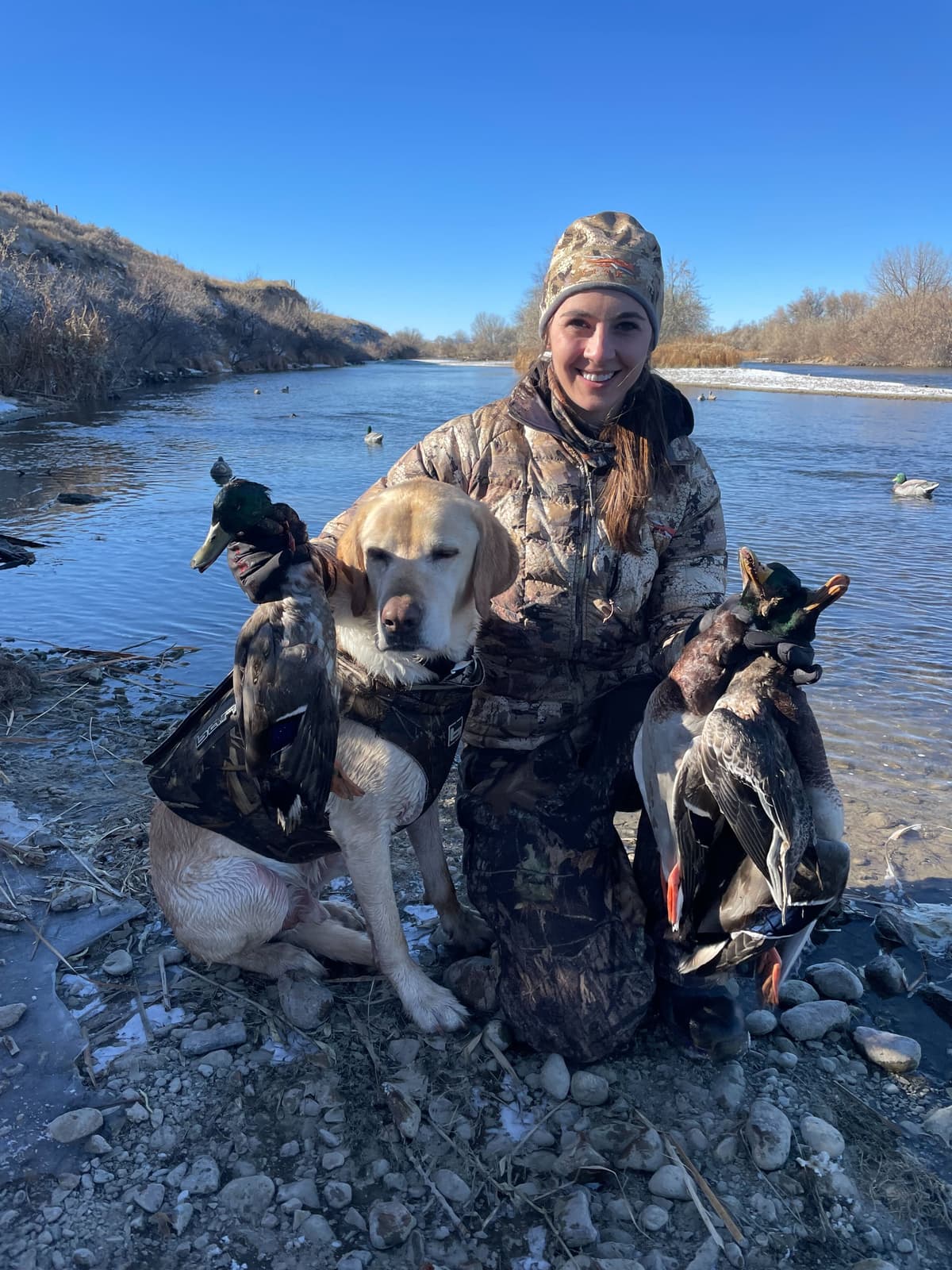 Top 5 Wild Duck Recipes: Delicious and Easy Cooking Ideas | Infinite